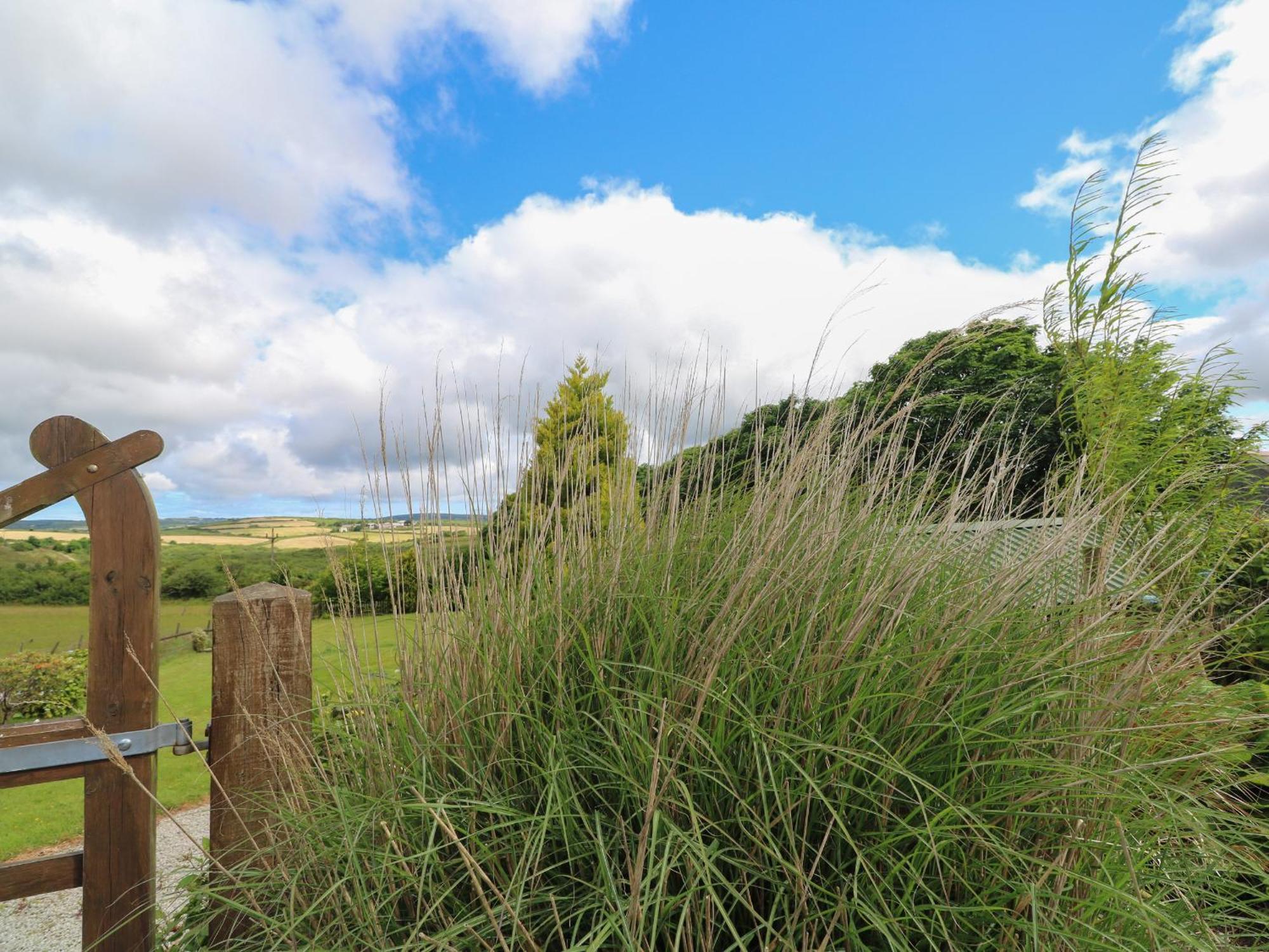 Cuckoo's Rest * Penryn